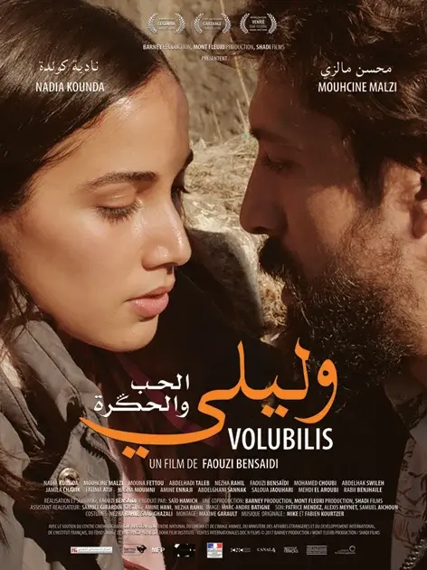 Affiche de Volubilis