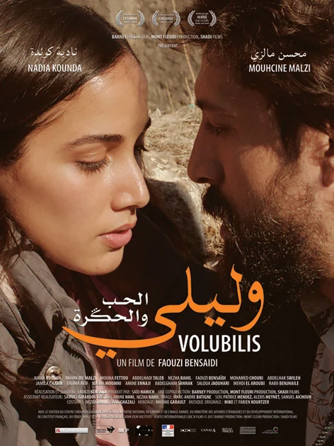 Affiche de Volubilis